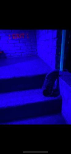 IMG-20250131-WA0014
